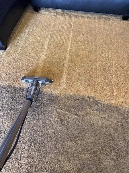 Carpet Cleaning in Nashville, TN (1)