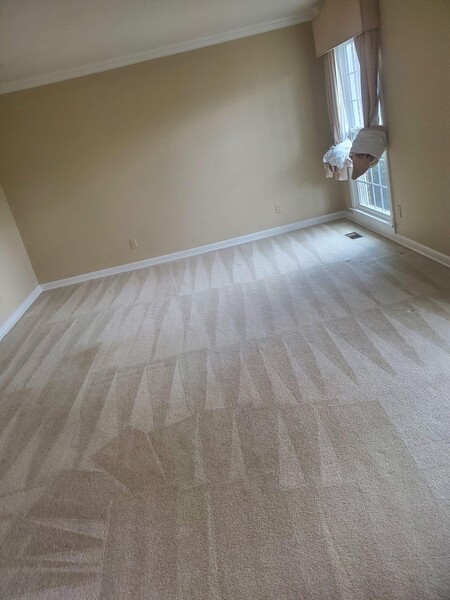 Carpet Cleaning in Franklin, TN (1)